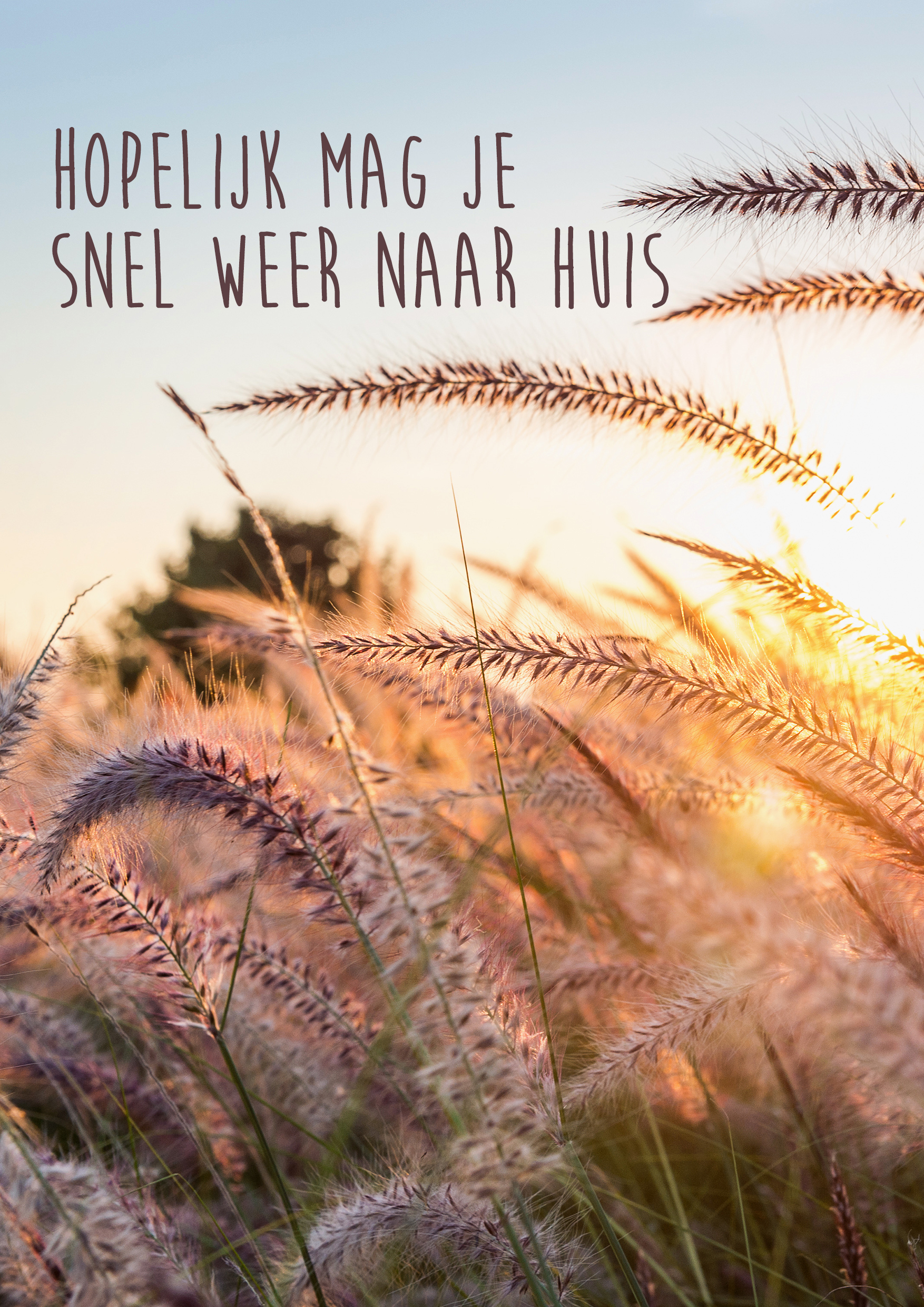 hopelijk mag je snel weer naar huis