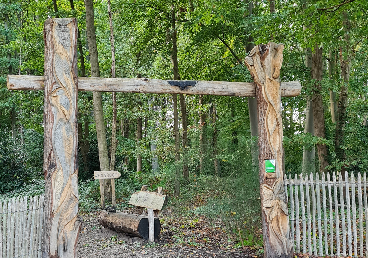 Wensboom